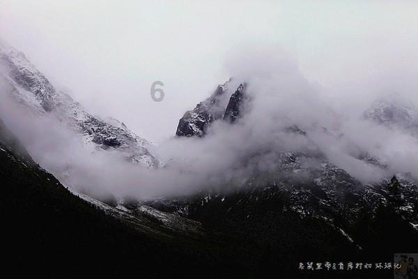 迷失在荒野