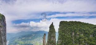 逗小猴开心系列206
