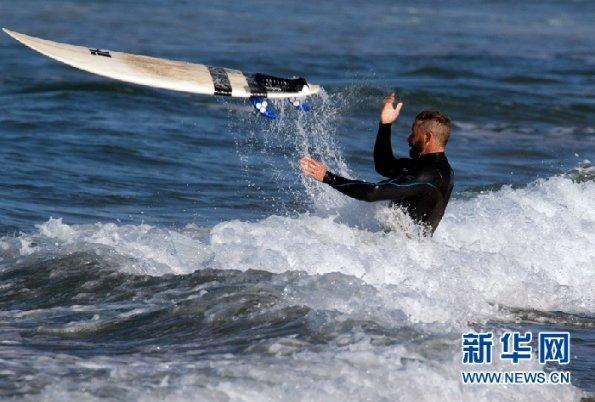 饿狮救援