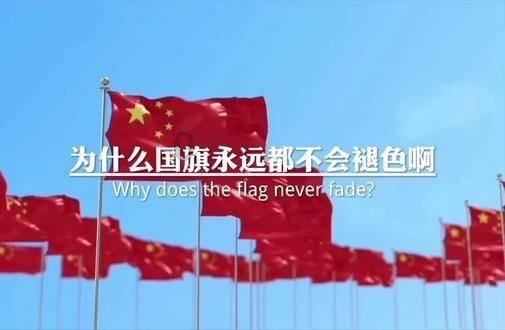 见习小魔女勇闯猪窝岛