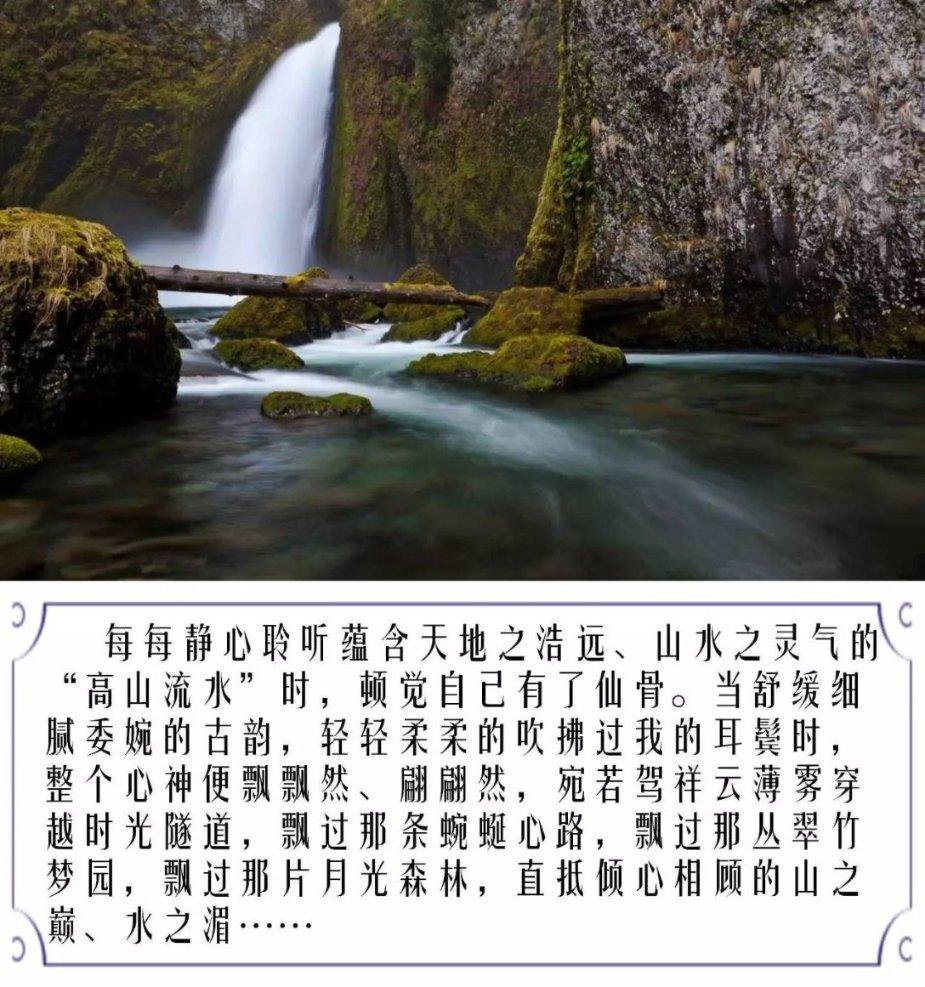 异形：隔离