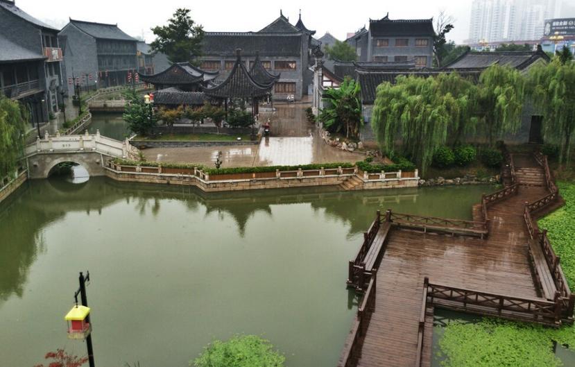 爱吃叶子的毛毛虫